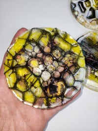 Image 3 of HoneY TraP Coasters