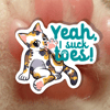 🐱 Yeah, I Suck Toes Sticker 🦶 