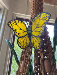 Image 1 of Butterflies 