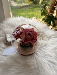 Image 1 of Glass Cork Cloche No. I