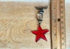 Ruby Star pin