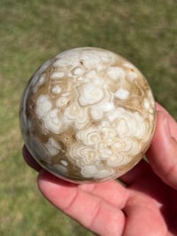 Image 3 of Amber Calcite Sphere | #2972