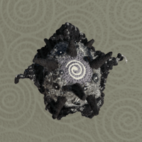 Image 1 of SWILRY SEA URCHIN