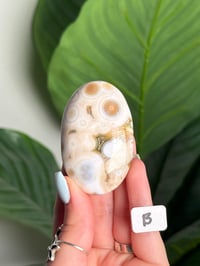 Image 2 of CHOOSE YOUR OWN ORBICULAR VEINLESS OCEAN JASPER PALM STONES -MADAGASCAR- 