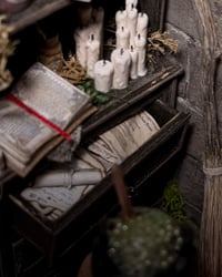 Image 6 of The Witch’s Apothecary