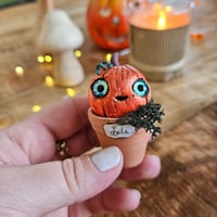 Image 2 of Mme Pumpkin Leïla