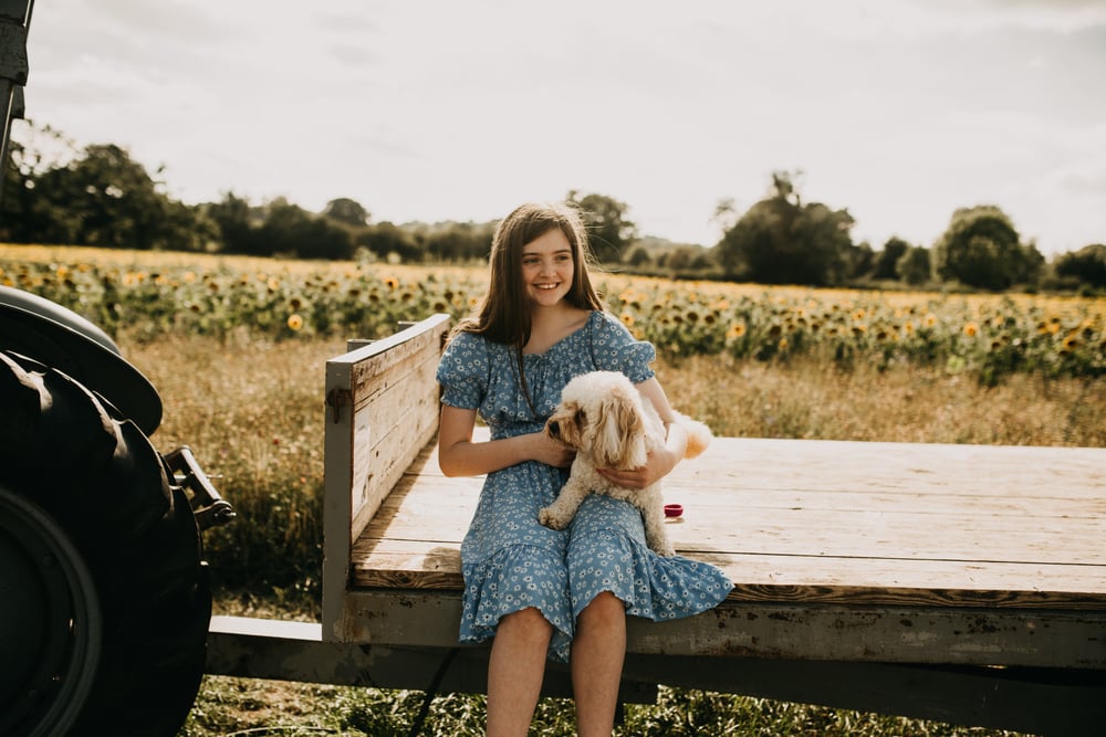 Image of Sunflower Field Shoot 2024 