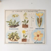 Image 17 of Grandes affiches scolaires anciennes