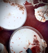 Seasonal Sampler Tea Light Set