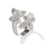Image 2 of Butterfly Set 