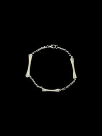 cane toad bones bracelet 2