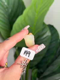 Image 9 of CHOOSE YOUR OWN ETHIOPIAN OPAL LOT A