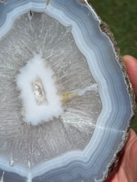 Image 6 of Blue Lace Agate Slice #2488