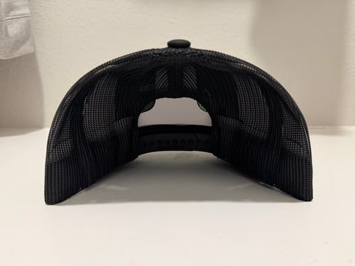 Image of Black Trucker hat purple/green 