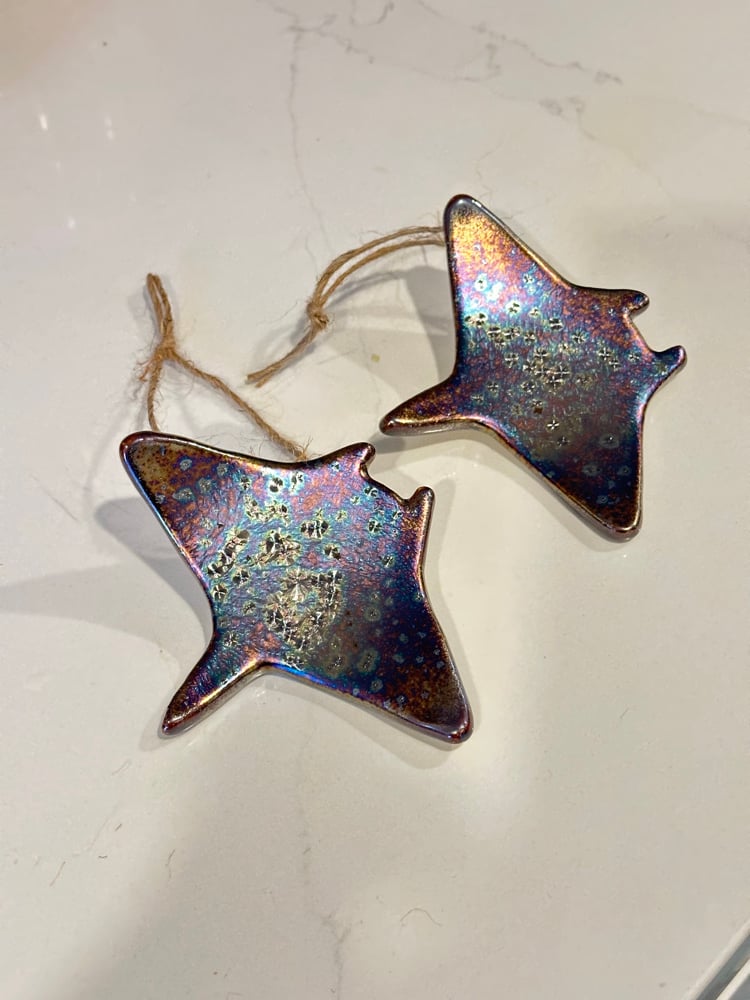 Image of Cosmic Manta Ornament