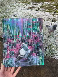 Image 1 of pidgeone