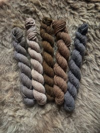 Image 2 of Mini Bundle #2 - 100G Hand Dyed Kent Romney Mini Skeins