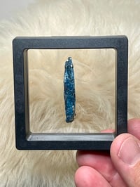 Image 11 of Ocean Kyanite Harts Range | NT Australia #2886