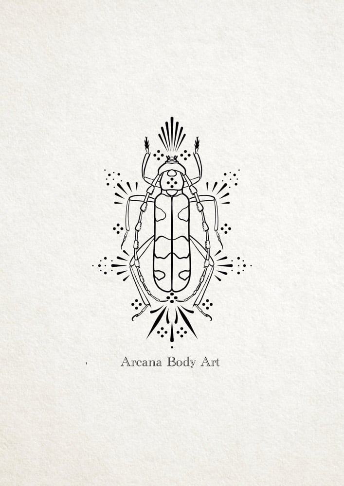 Image of Insectes Ornements