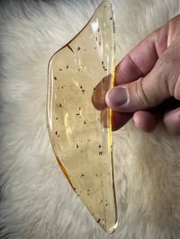 Image 16 of Copal Amber With Preserved Insects #2357