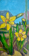 Daffodils 