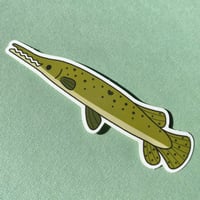 Image 2 of Alligator Gar Sticker