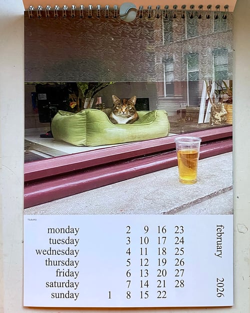 Image of 'Cats and Dogs in the Window' • 2026 CALENDAR