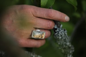 Image of Deep forest ring