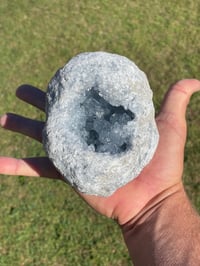 Image 11 of Celestite Geode #1951