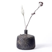 Image 1 of Soliflore, Cuisson Bois #3