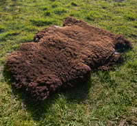 Image 2 of Harting Black Sheepskin #14