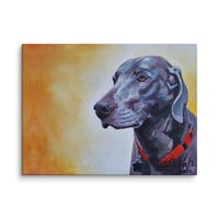 Image 1 of Weimaraner with a Warming Glow
