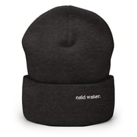 Image 2 of Cold Water on Cuffed Beanie
