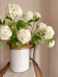 Image 3 of Snowball Bouquet ( 3 Included )