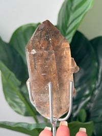 Image 2 of  SMOKEY RUTILE IN QUARTZ CLUSTER ON STAND P