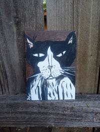 Image 7 of Tuxedo Cat 