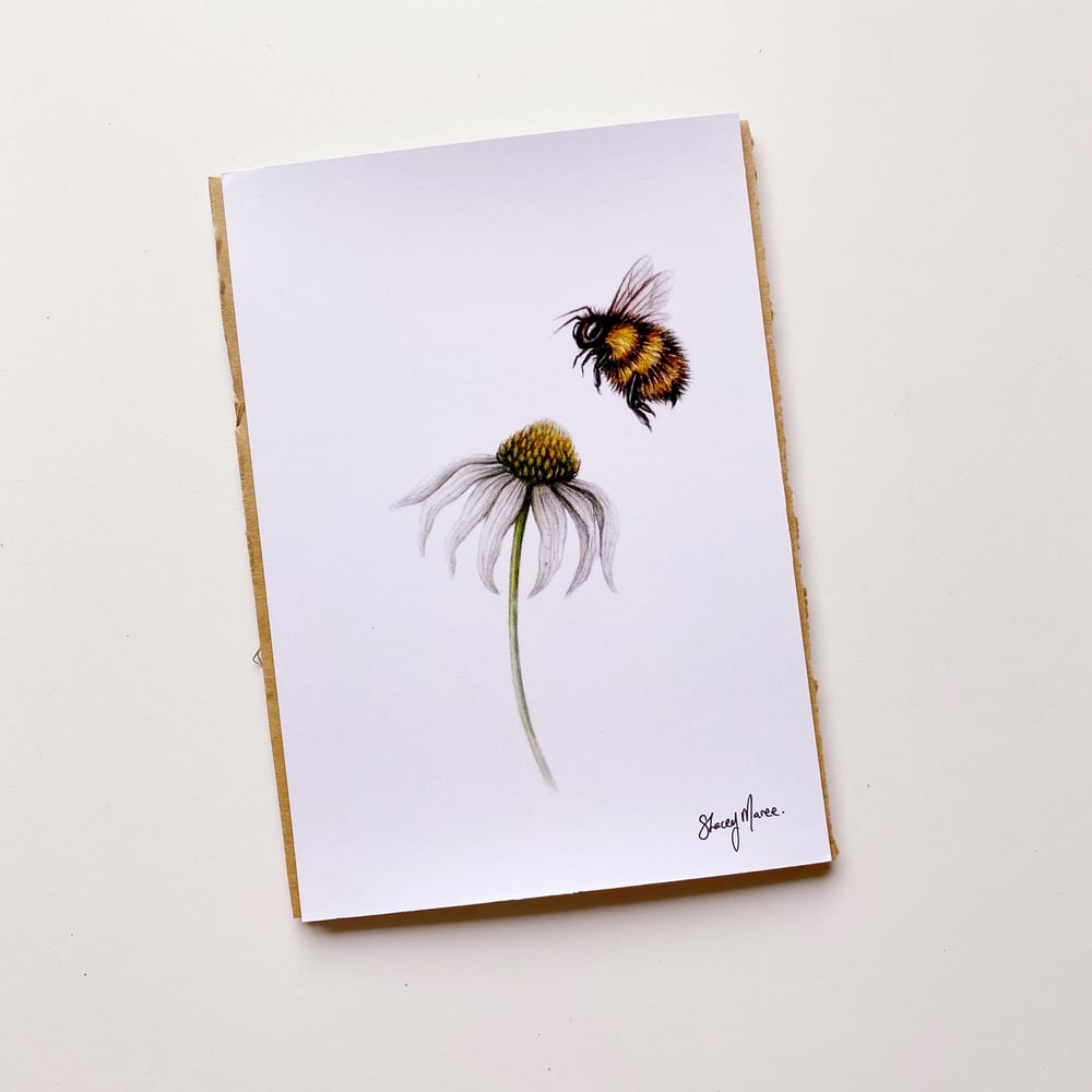 Image of Wild Bee - Fine Art Print