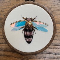 Image 4 of Shiny bee (b, 4 inches)