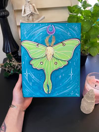 Image 1 of Original Luna Moth Painting 