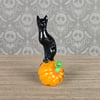 Black Cat sitting on a UV Pumpkin