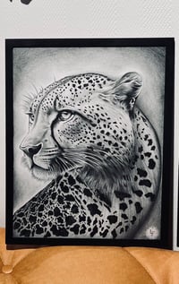 Guépard 
