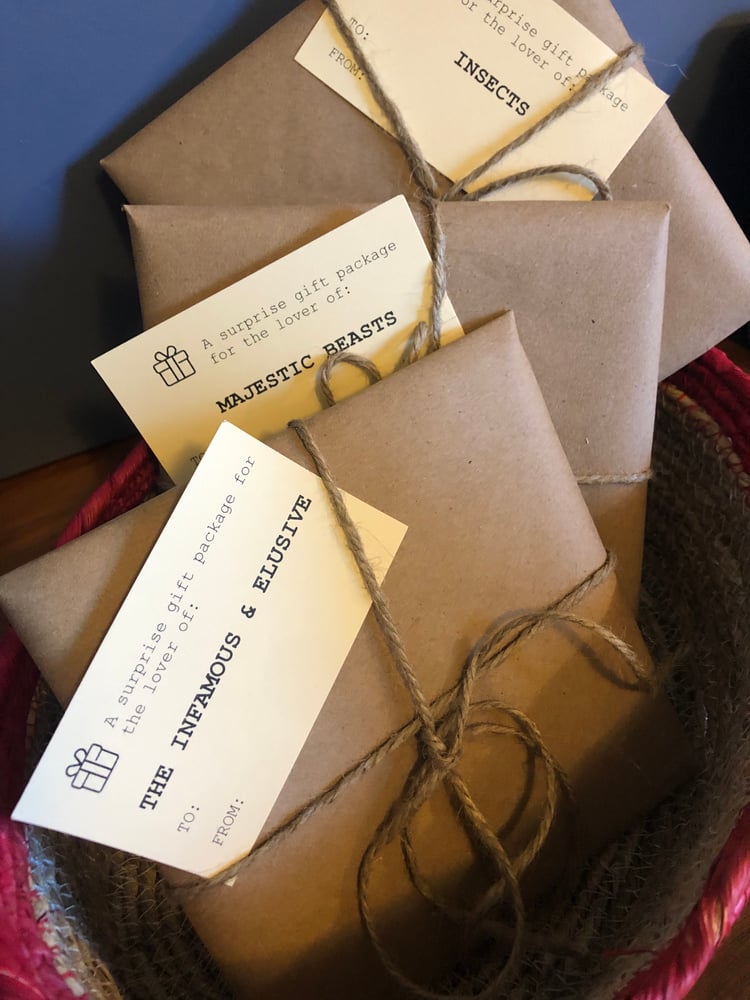 Image of Surprise Gift Packs