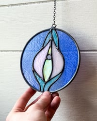 Image 1 of Magic Spot: Splendid 