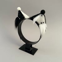 Image 2 of Monochrome Clown Kitten