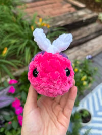Image 3 of baby bi bee
