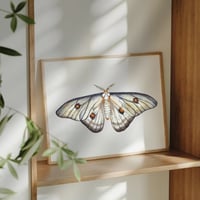 Image 5 of Ghostly Moth PRINT