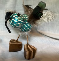 Image 2 of Blue Bird Gourds