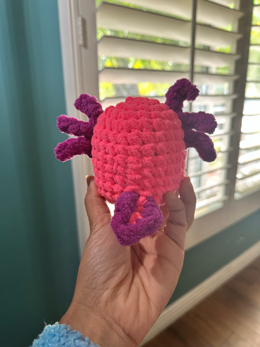 Image of Chunky axolotl