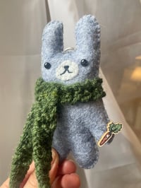 Image 1 of Basil the Bunny