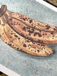 Image 2 of Bananas - Print